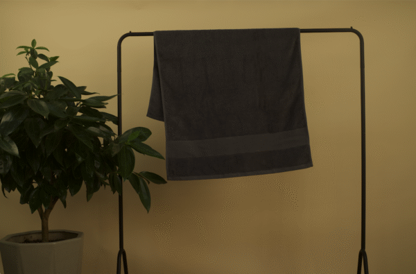 Anna Grey Striped Bath Towel